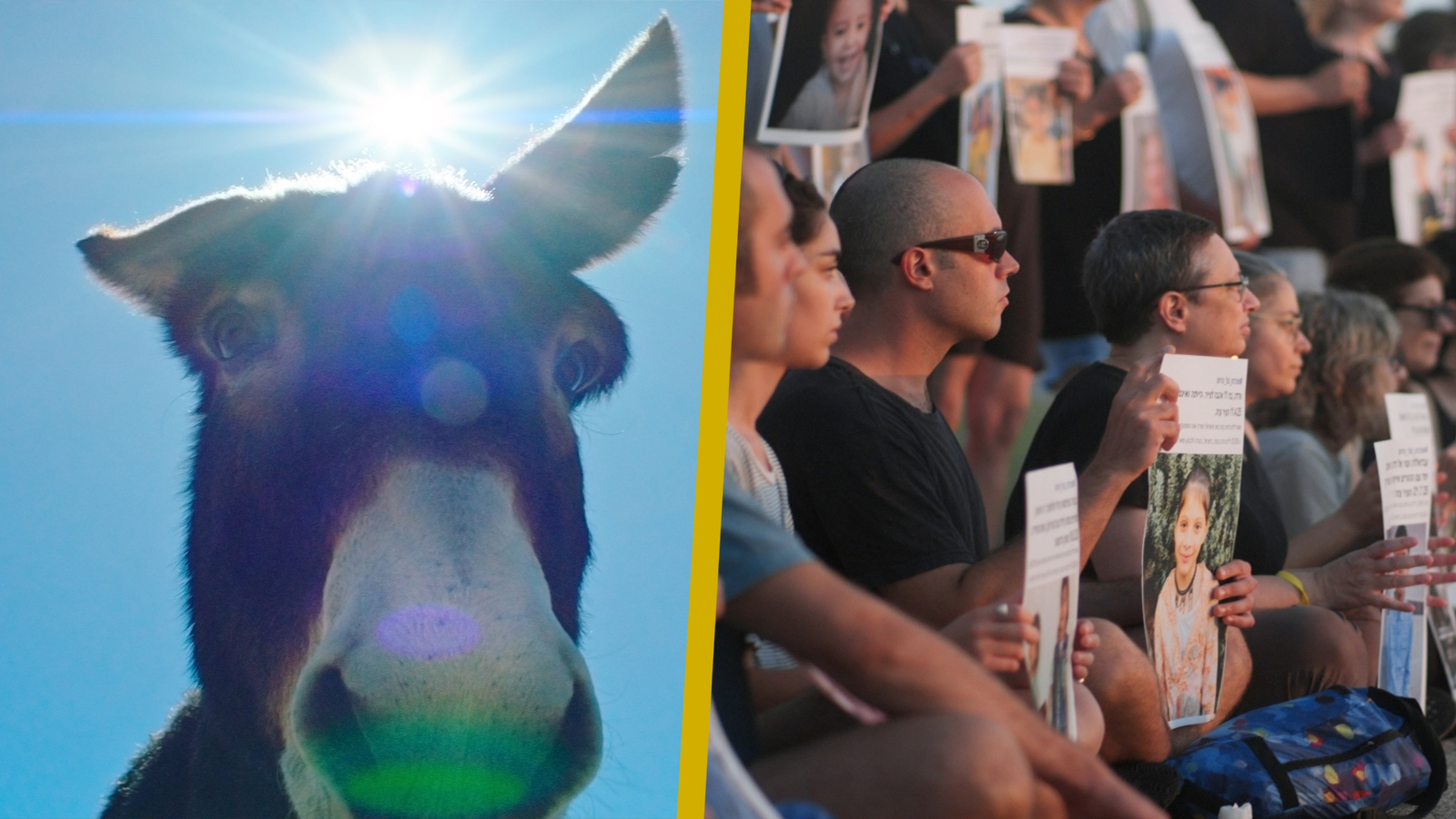 oscar shorts documentary 2026