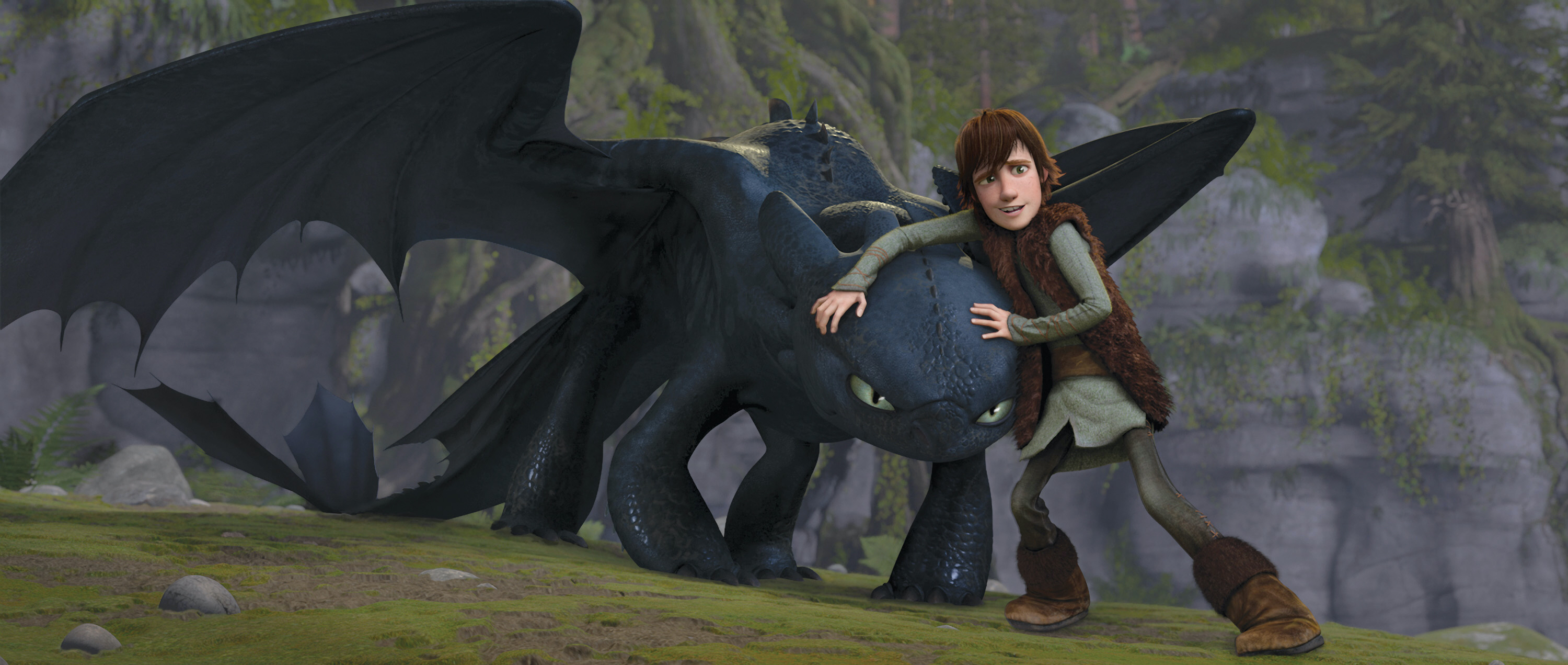 how to train your dragon
