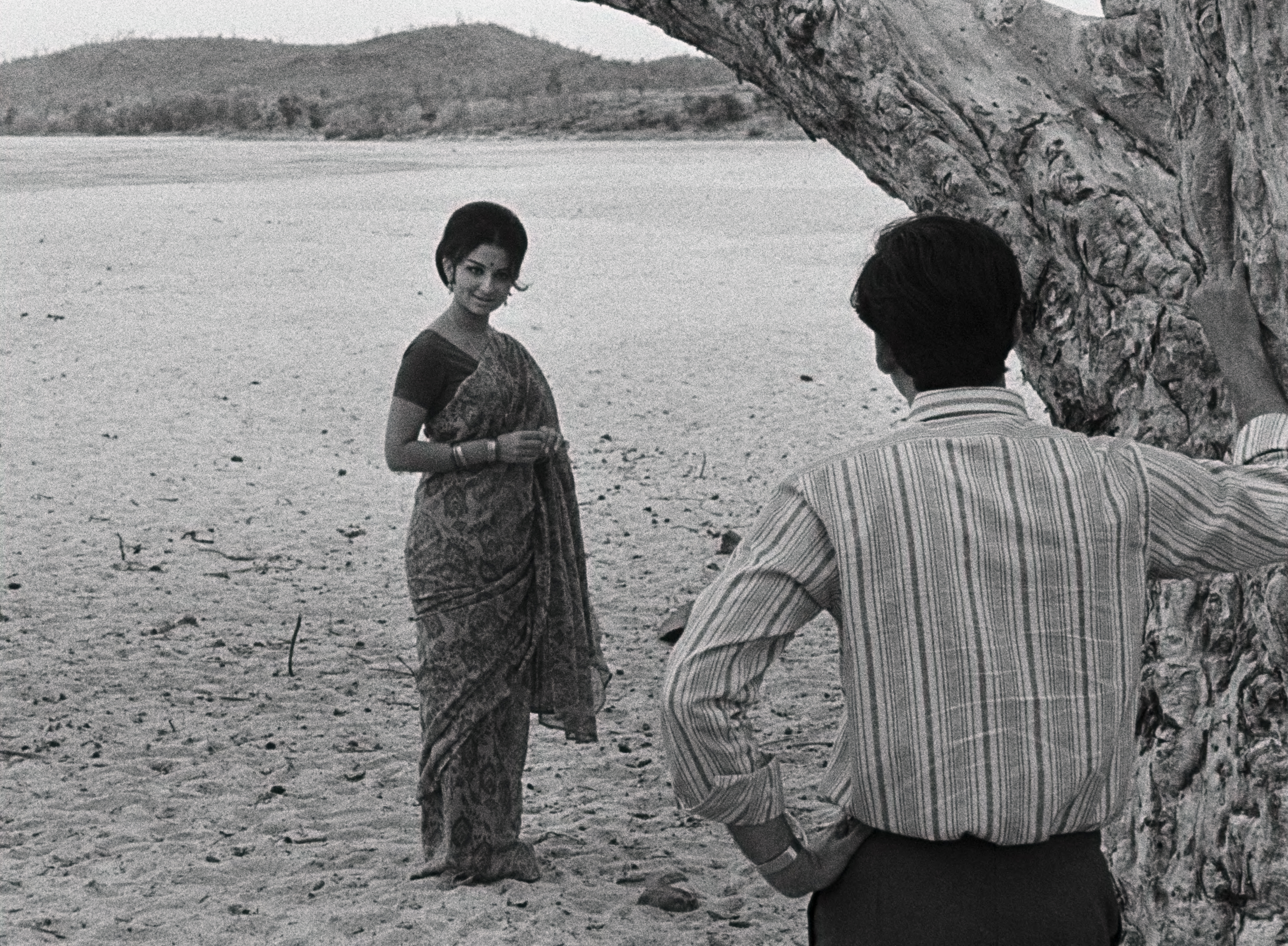 days and nights in the forrest