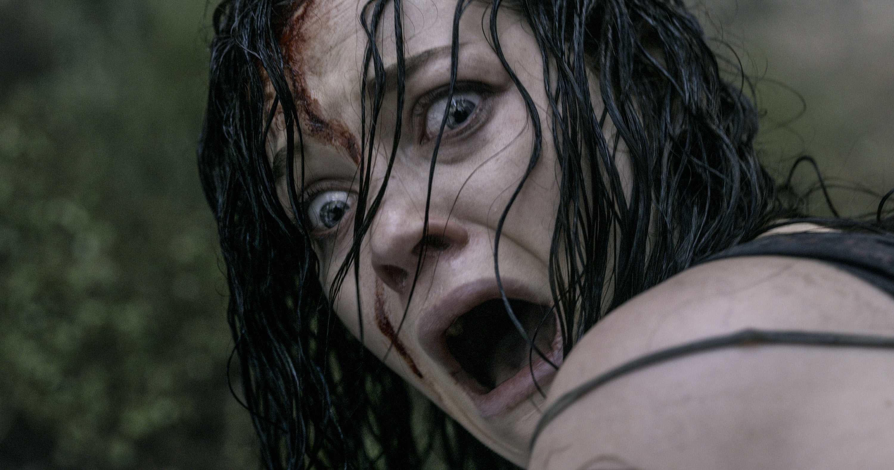 Evil Dead (2013)