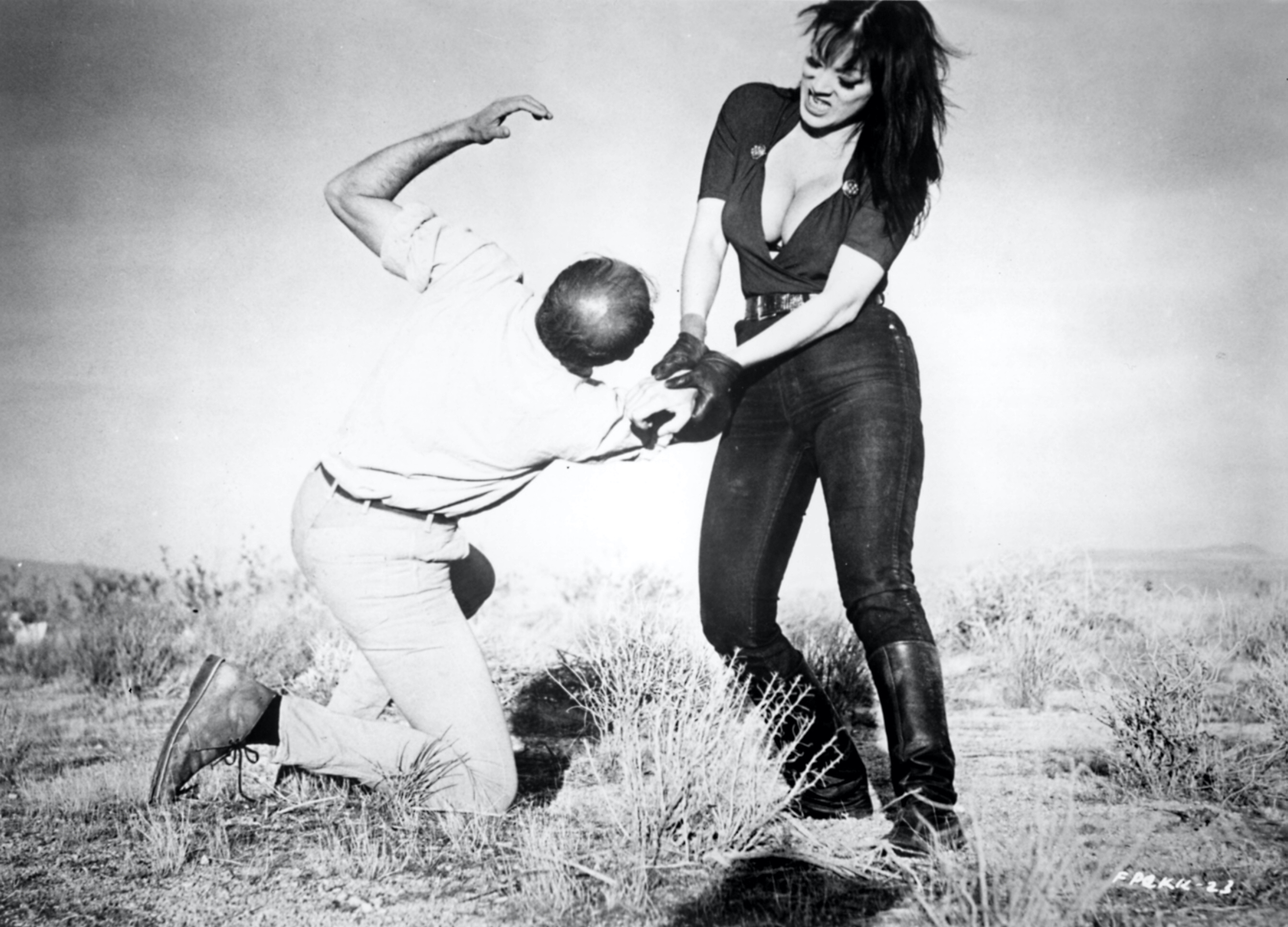 Faster, Pussycat! Kill! Kill!