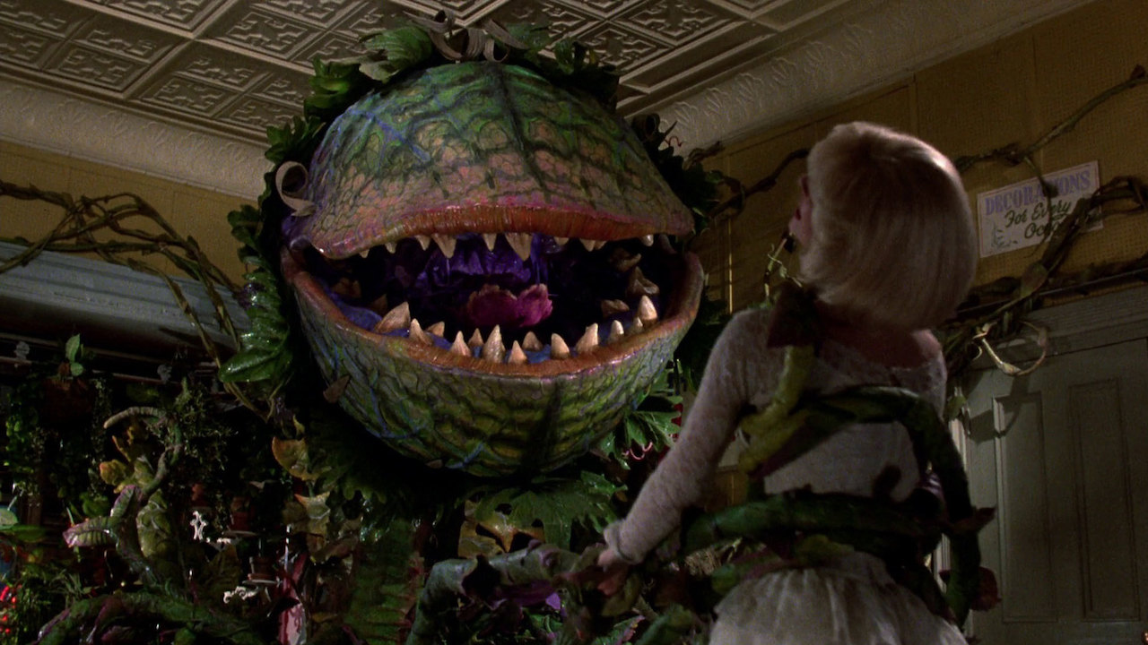 Little Shop of Horrors