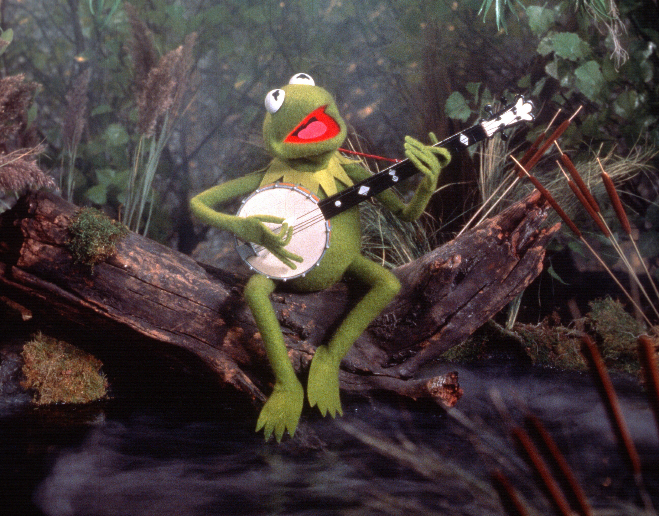 Kermit the Frog in The Muppet Movie.