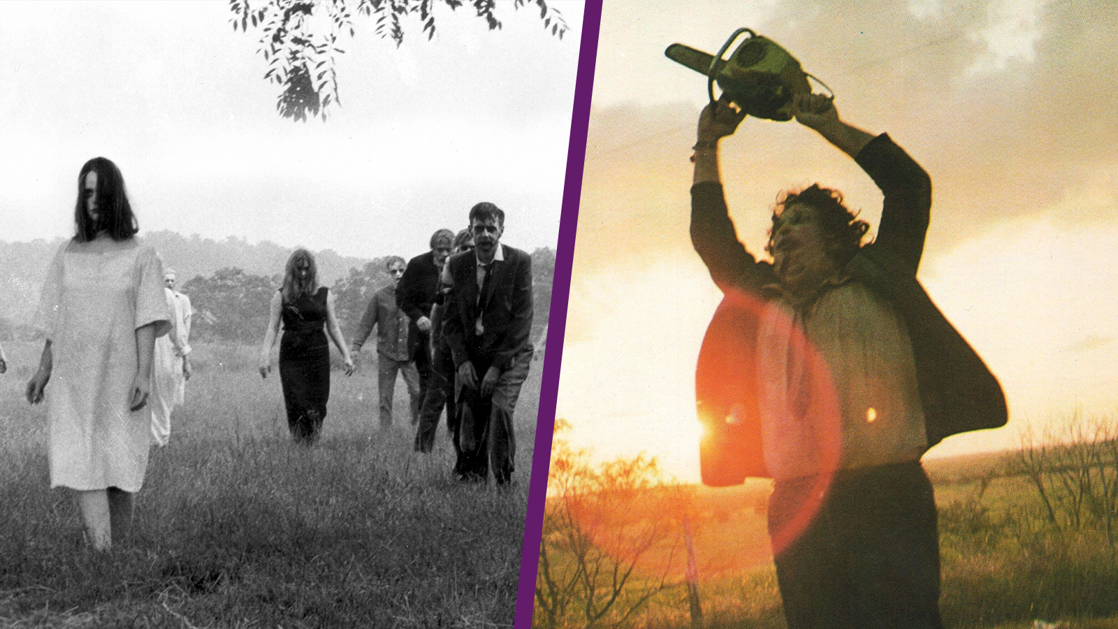 Night of the Living Dead and The Texas Chain Saw Massacre at Medfield State Hospital