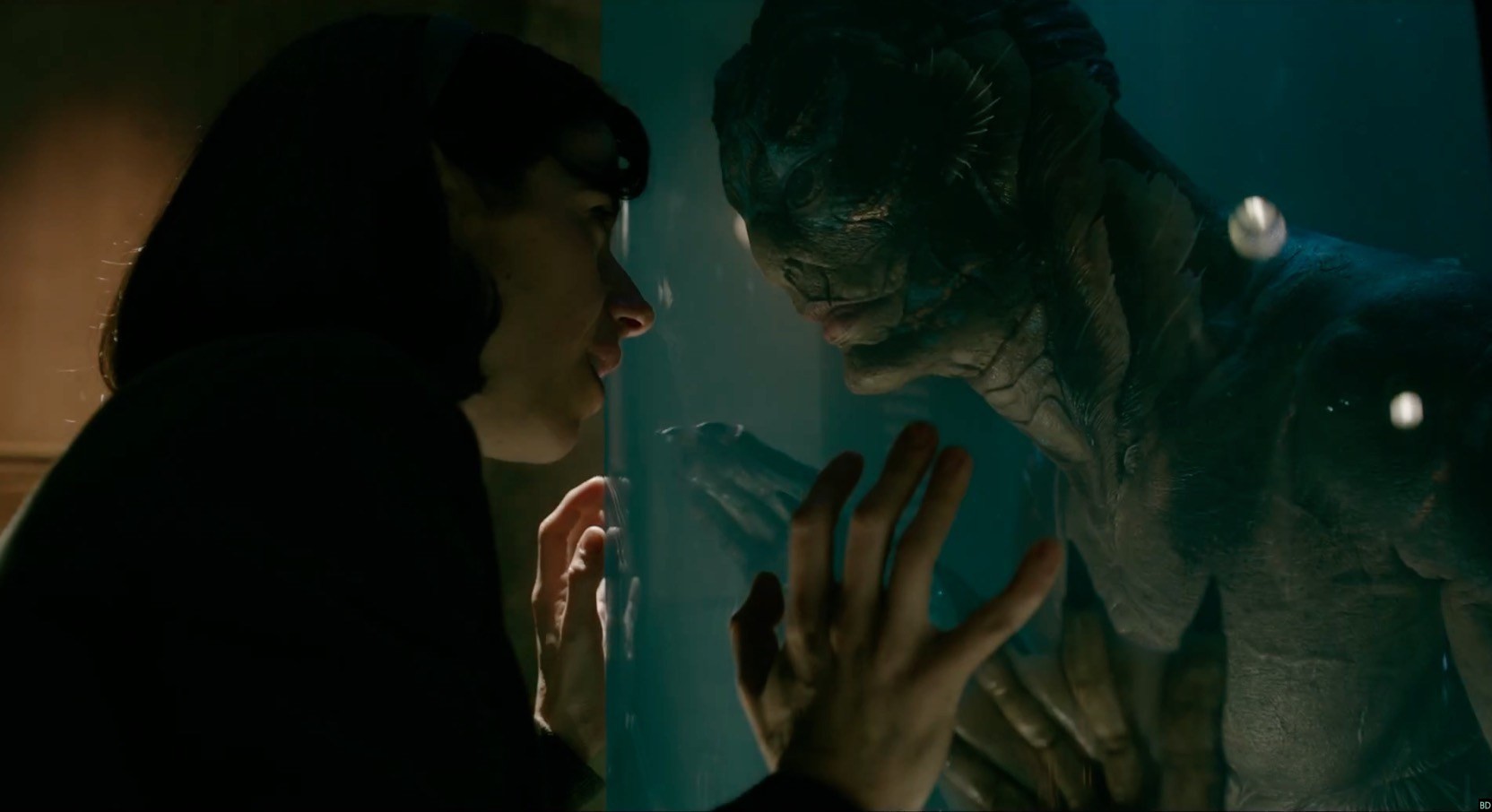 The Shape of Water
