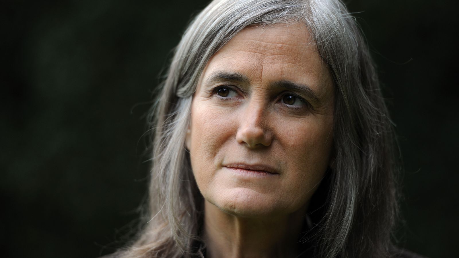 steal this story please