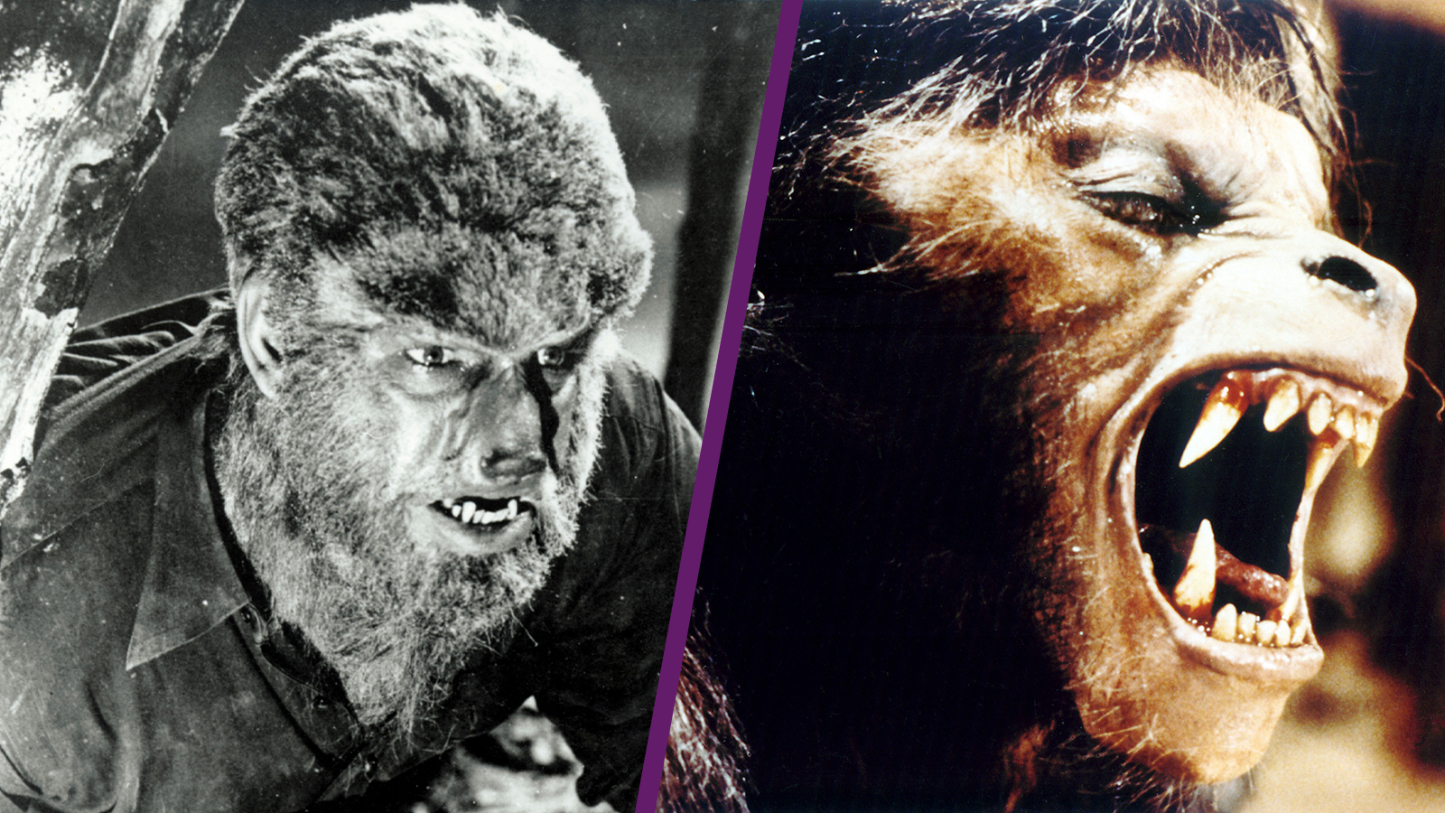 The Wolf Man American Werewolf in London Double Feature