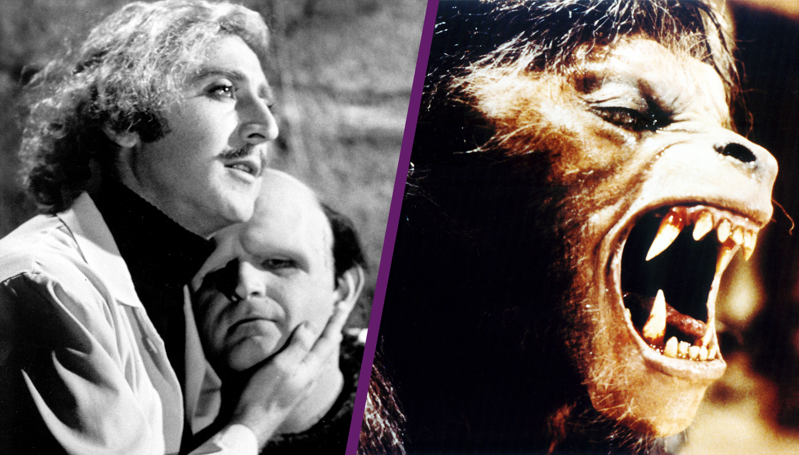 Young Frankenstein An American Werewolf in London Double Feature
