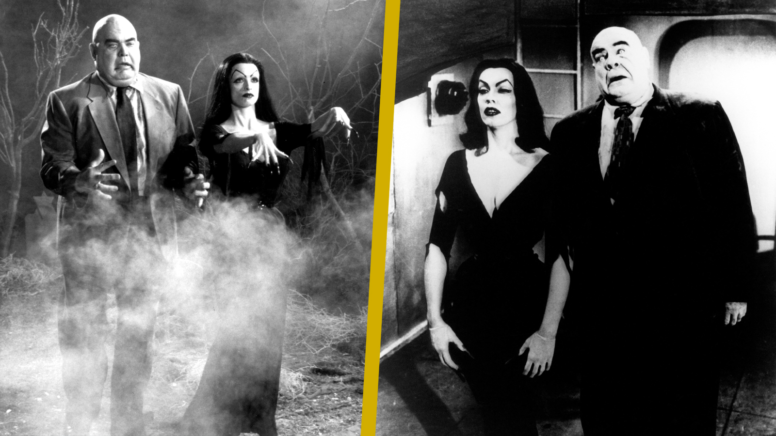 ed wood and plan 9 from outer space