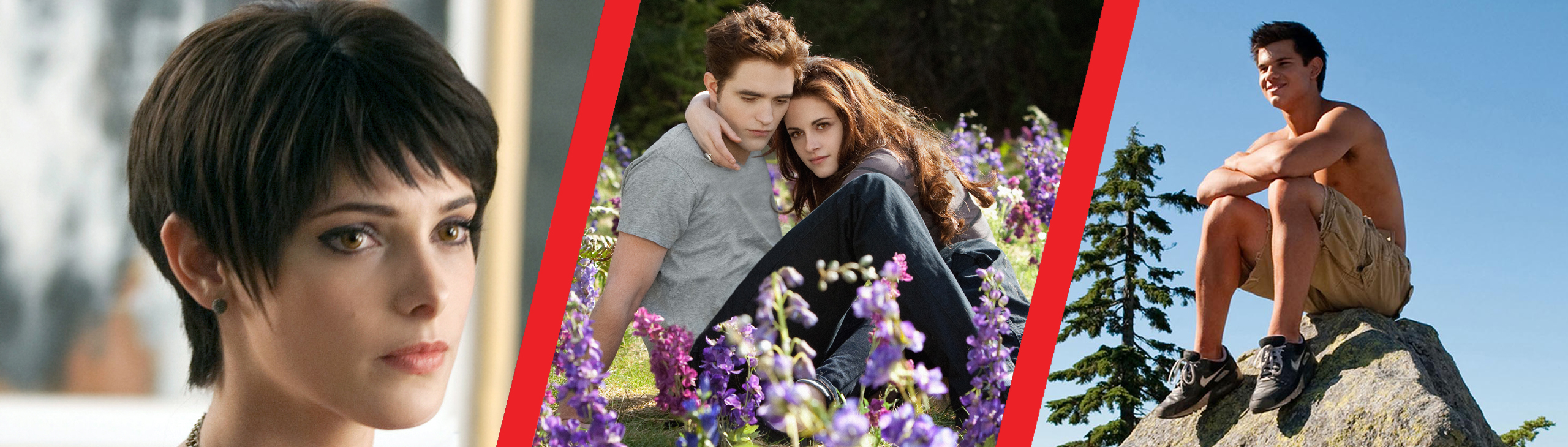 The Twilight Saga Marathon