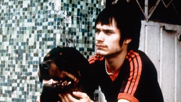 amores perros