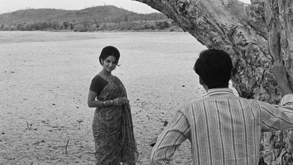 days and nights in the forrest