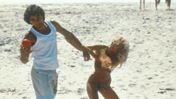 return of the killer tomatoes!