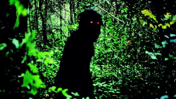 Uncle Boonmee Who Can Recall His Past Lives