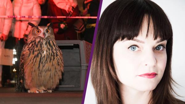 wild inside with firector penny lane